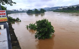 Lũ rút, người dân Lào Cai dọn dẹp nhà cửa, tài sản - Ảnh 15.