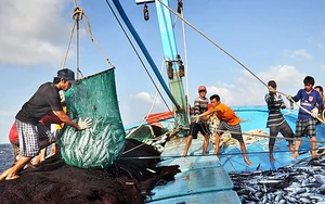 L&agrave;o Cai: Xử phạt 5 người sử dụng k&iacute;ch điện khai th&aacute;c thủy sản tr&aacute;i ph&eacute;p - Ảnh 4.