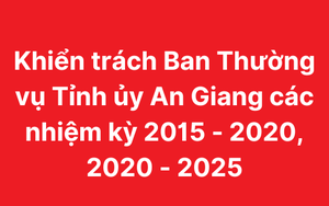 Kỷ luật khai trừ ra khỏi Đảng 3 cựu lãnh đạo tỉnh, thành phố - Ảnh 5.