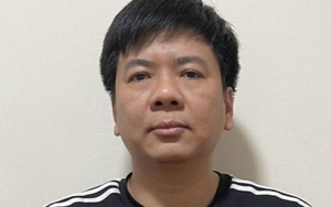 Vụ Hoàng Hường: Khi “năng lực yếu kém” gặp doanh thu nghìn tỷ - Ảnh 2.