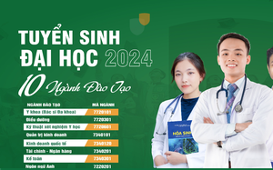 Chính sách mới có hiệu lực từ tháng 9/2024 - Ảnh 5.