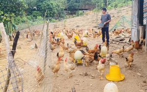 Quảng Ninh: Huyện miền núi Tiên Yên đổi mới để nâng cao chất lượng giáo dục toàn diện - Ảnh 4.