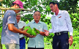 Agribank hợp sức xây dựng vùng nguyên liệu nông, lâm sản