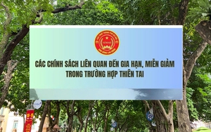 Có thể miễn thuế đối với doanh nghiệp chuyển đổi từ hộ, cá nhân kinh doanh - Ảnh 4.