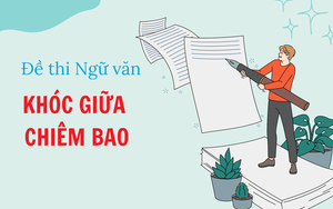 Bài thơ "Mẹ vẫn chờ" vào đề kiểm tra định kì Ngữ văn 12- Ảnh 4.