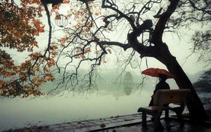 Mưa dông mạnh, miền Bắc đón không khí lạnh nhẹ như một đợt gió mùa - Ảnh 1.