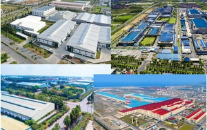 Quyết định thành lập Ban Quản lý các Khu chế xuất và công nghiệp Thành phố Hồ Chí Minh - Ảnh 5.