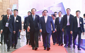 Từ miễn ph&iacute; bu&yacute;t v&agrave; những mục ti&ecirc;u rất lớn của Th&agrave;nh phố Hồ Ch&iacute; Minh - Ảnh 2.