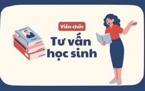 Viên chức giáo viên phải kí hợp đồng theo quy định nào? - Ảnh 4.