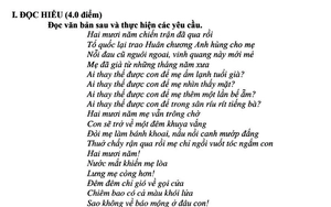 Bài thơ "Tiếng đàn bầu" được dùng làm ngữ liệu thơ đề thi học sinh giỏi Ngữ văn - Ảnh 2.