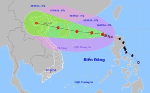 Bão số 3 đang áp sát đất liền, Quảng Ninh mưa to, gió lớn, đã có thiệt hại tài sản - Ảnh 16.