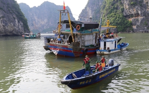 Bão số 3 đang áp sát đất liền, Quảng Ninh mưa to, gió lớn, đã có thiệt hại tài sản - Ảnh 14.