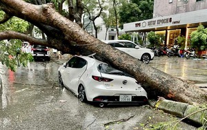 Bão số 3 suy yếu thành áp thấp nhiệt đới - gây mưa lớn tại các tỉnh Bắc Bộ - Ảnh 5.