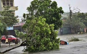 Bão hoành hành, Quảng Ninh thiệt hại nặng nề, Thanh Hoá tiếp tục di dân khẩn cấp - Ảnh 7.