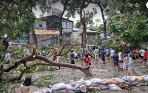 Hà Nội: Sau bão Yagi, trường học chưa đảm bảo điều kiện an toàn chưa tổ chức dạy học - Ảnh 2.