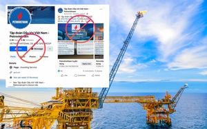 Petrovietnam kiên định mục tiêu tăng trưởng dài hạn - Ảnh 4.