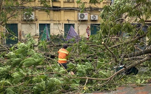 Bắc Bộ có thể xảy truc tiep bong da hom nay đợt rét đầu tiên m&ugtruc tiep bong da hom nayve;a Đông 2024 - Ảnh 3.