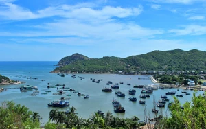 Nhung nhớ đảo Bình Hưng mùa gió lành - Ảnh 2.