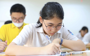 Bỏ m&ocirc;n thứ 3 thi lớp 10: Học ngoại ngữ để hội nhập hay chỉ để ứng th&iacute;? - Ảnh 7.