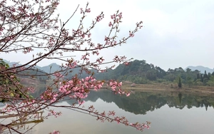 Sẵn s&agrave;ng khởi tranh giải đua xe đạp "V&uacute;t bay tr&ecirc;n s&oacute;ng l&uacute;a v&agrave;ng" Mường Bo - Ảnh 8.