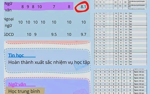 Bỏ xét tuyển học bạ: Bước đi cần thiết để làm trong sạch giáo dục - Ảnh 3.