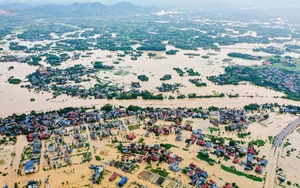 Hướng dẫn hỗ trợ miễn, giảm thuế cho người dân và doanh nghiệp bị thiệt hại do mưa bão - Ảnh 13.