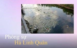 Bộ ti&ecirc;u ch&iacute; quốc gia về n&ocirc;ng th&ocirc;n mới giai đoạn 2026-2030 - Ảnh 3.