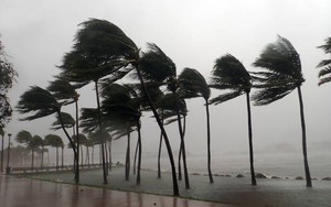 Áp thấp nhiệt đới gần Biển Đông sẽ ảnh hưởng thế nào - Ảnh 3.