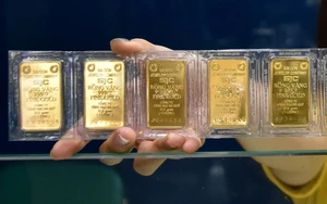 Xếp hạng ngân hàng theo tiêu chí mới: Minh bạch hơn, giám sát chặt hơn - Ảnh 4.