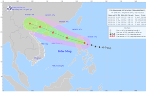 Quảng Ninh ngừng cấp phép tham quan, lưu trú trên biển từ sáng 5/10 - Ảnh 7.