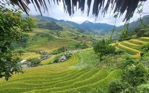 Bão số 11 cách Quảng Ninh 420 km, gió giật cấp 15 - Ảnh 1.