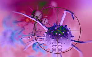 C&ocirc;ng vi&ecirc;n xanh cũng tiềm ẩn mầm bệnh ung thư, v&igrave; đ&acirc;u? - Ảnh 6.