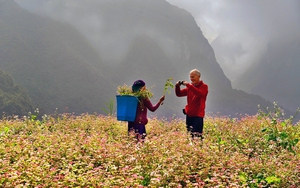 Không chỉ nghỉ dưỡng: Du lịch cho người già đang trở thành xu hướng toàn cầu - Ảnh 2.
