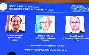 Giải Nobel Hòa bình 2025: Vinh danh người phụ nữ chiến đấu cho quyền dân chủ Venezuela - Ảnh 2.