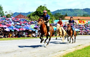 Tôn vinh nét đẹp trang phục, bản sắc văn hóa truyền thống các dân tộc vùng cao Bắc Hà - Ảnh 23.