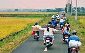 100 giáo viên Hà Nội tham gia khóa bồi dưỡng ứng dụng công nghệ thông tin tại Úc - Ảnh 3.