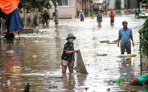 Thủ tướng chỉ đạo tập trung khắc phục hậu quả, khôi phục sản xuất kinh doanh, ổn định đời sống nhân dân sau lũ - Ảnh 7.