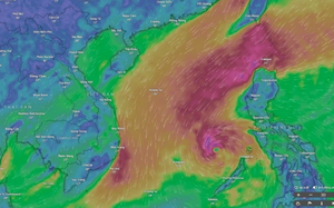 Bão số 15 và khả năng tác động - Ảnh 2.