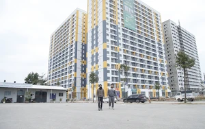 Người độc thân có thu nhập bao nhiêu được mua nhà ở xã hội - Ảnh 5.