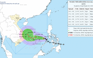 Bão số 15 giảm cấp và suy yếu dần- Ảnh 2.