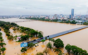 Thủ tướng yêu cầu sẵn sàng “4 tại chỗ” ứng phó bão Kalmaegi - Ảnh 2.