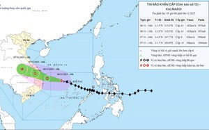Tạm dừng khai thác 5 sân bay do bão Kalmaegi (bão số 13)- Ảnh 2.
