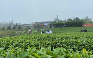 Dự báo xu thế thời tiết 10 ngày tới (7-17/11) - Ảnh 1.