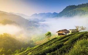 Nhiều giải pháp, định hướng phát triển sản phẩm du lịch đêm - Ảnh 4.