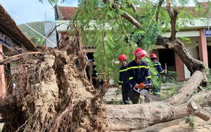 Quy định dạy thêm, học thêm trên địa bàn tỉnh Đắk Lắk - Ảnh 2.