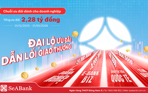 SeABank được vinh danh Top 10 Báo cáo thường niên tốt nhất 2025- Ảnh 2.