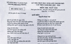 Đề thi học sinh giỏi quốc gia m&ocirc;n Ngữ văn tr&ugrave;ng ngữ liệu đề thi H&agrave; Nội? - Ảnh 2.