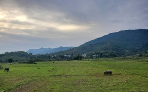 Dự b&aacute;o thời tiết c&aacute;c khu vực tuần cuối năm 2025 - Ảnh 3.