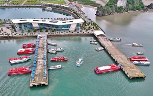 Nh&igrave;n lại tăng trưởng kinh tế Việt Nam năm 2025: Kỳ vọng, động lực v&agrave; những điểm nghẽn cần th&aacute;o gỡ - Ảnh 5.