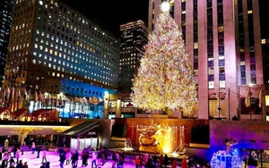 Đức Gi&aacute;o ho&agrave;ng n&oacute;i về nguồn gốc v&agrave; &yacute; nghĩa của lễ Gi&aacute;ng Sinh - Ảnh 3.